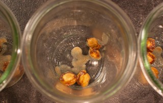 Haselnüsse aus dem Topf nehmen und ins Glas geben